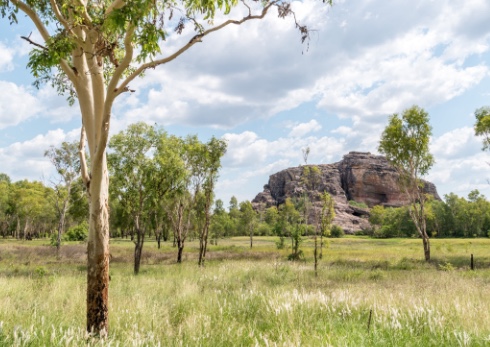 Smithsonian Student Journey Australia 8 A rock outcropping in the Australian Outback